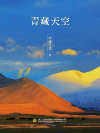 青藏天空/格绒追美-mob/epub/azw3/pdf电子书免费下载/书单推荐16km电子书