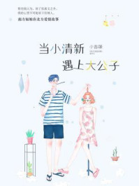 当小清新遇上大公子/小香颂-mob/epub/azw3/pdf电子书免费下载/书单推荐16km电子书