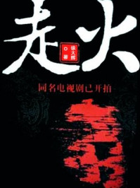 走火/徐大辉-mob/epub/azw3/pdf电子书免费下载/书单推荐16km电子书