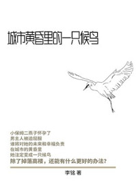 城市黄昏里的一只候鸟/李铭
