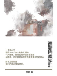 遭遇爆炸/李铭-mob/epub/azw3/pdf电子书免费下载/书单推荐16km电子书