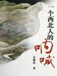 一个西北人的呐喊/史继法-mob/epub/azw3/pdf电子书免费下载/书单推荐16km电子书