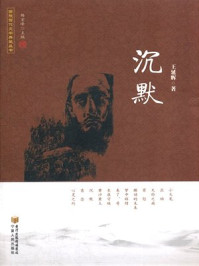 沉默/王延辉-mob/epub/azw3/pdf电子书免费下载/书单推荐16km电子书