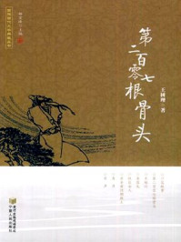 第二百零七根骨头/王树理-mob/epub/azw3/pdf电子书免费下载/书单推荐16km电子书