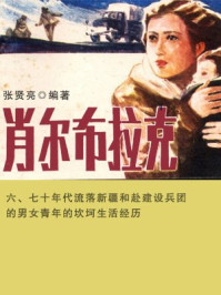肖尔布拉克/张贤亮-mob/epub/azw3/pdf电子书免费下载/书单推荐16km电子书