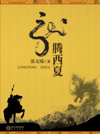 龙腾西夏/张文瑞-mob/epub/azw3/pdf电子书免费下载/书单推荐16km电子书