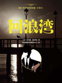 亚森·罗平传奇探案25（全译册）回浪湾（全三十五册）/莫里斯·勒布朗-mob/epub/azw3/pdf电子书免费下载/书单推荐16km电子书