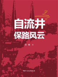 自流井保路风云/王锐-mob/epub/azw3/pdf电子书免费下载/书单推荐16km电子书