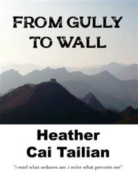 FROM GULLY TO WALL/Heather Cai Tailian-mob/epub/azw3/pdf电子书免费下载/书单推荐16km电子书