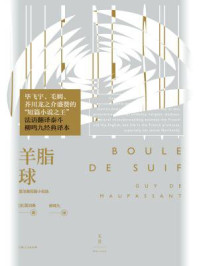 羊脂球：莫泊桑短篇小说选（文景·恒星系）/莫泊桑-mob/epub/azw3/pdf电子书免费下载/书单推荐16km电子书