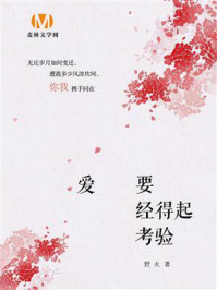 爱要经得起考验/野火-mob/epub/azw3/pdf电子书免费下载/书单推荐16km电子书