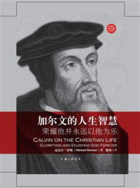 加尔文的人生智慧：荣耀他并永远以他为乐/迈克尔·霍顿-mob/epub/azw3/pdf电子书免费下载/书单推荐16km电子书