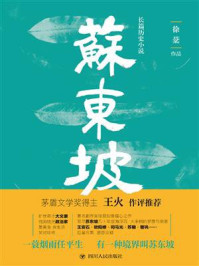 苏东坡/徐棻-mob/epub/azw3/pdf电子书免费下载/书单推荐16km电子书