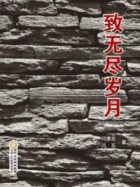 致无尽岁月/闫维生,闫石-mob/epub/azw3/pdf电子书免费下载/书单推荐16km电子书