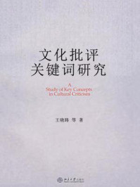 文化批评关键词研究/王晓路-mob/epub/azw3/pdf电子书免费下载/书单推荐16km电子书