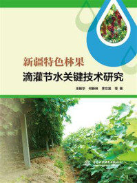 新疆特色林果滴灌节水关键技术研究/王振华-mob/epub/azw3/pdf电子书免费下载/书单推荐16km电子书