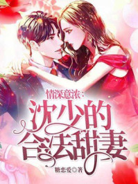 情深意浓：沈少的合法甜妻/糖恋爱-mob/epub/azw3/pdf电子书免费下载/书单推荐16km电子书