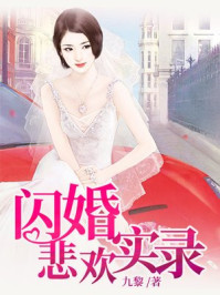 闪婚悲欢记实录/九黎