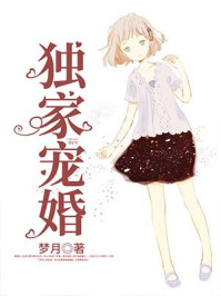 独家宠婚/梦月