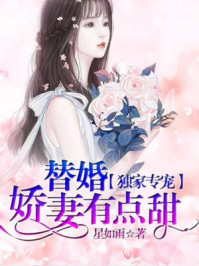 独家专宠：替婚娇妻有点甜/星如雨-mob/epub/azw3/pdf电子书免费下载/书单推荐16km电子书
