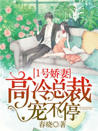 1号娇妻:高冷总裁宠不停/春晓-mob/epub/azw3/pdf电子书免费下载/书单推荐16km电子书