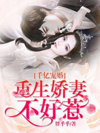 千亿宠婚：重生娇妻不好惹/胖乎乎