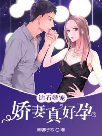 钻石婚宠：娇妻真好孕/卿卿子衿-mob/epub/azw3/pdf电子书免费下载/书单推荐16km电子书