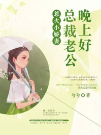 惹火小娇妻:总裁老公晚上好!/兮兮