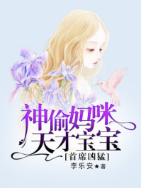 首席凶猛：神偷妈咪天才宝宝/李乐安