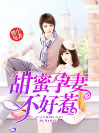 甜蜜孕妻不好惹/糖小兔-mob/epub/azw3/pdf电子书免费下载/书单推荐16km电子书