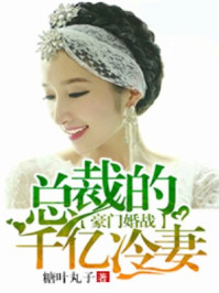 豪门婚战:总裁的千亿冷妻/糖叶丸子-mob/epub/azw3/pdf电子书免费下载/书单推荐16km电子书
