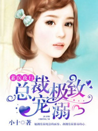 素医夜行:总裁极致宠溺/小十-mob/epub/azw3/pdf电子书免费下载/书单推荐16km电子书