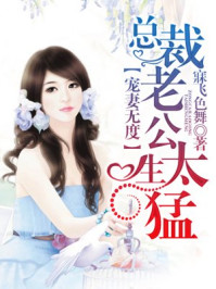 宠妻无度,总裁老公太生猛/寐飞色舞-mob/epub/azw3/pdf电子书免费下载/书单推荐16km电子书