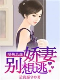 慢热总裁，娇妻别想逃/适我愿兮-mob/epub/azw3/pdf电子书免费下载/书单推荐16km电子书