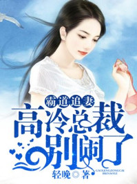 霸道追妻,高冷总裁别闹了/轻晚-mob/epub/azw3/pdf电子书免费下载/书单推荐16km电子书