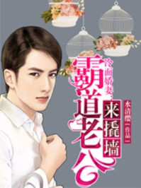 冷面娇妻：霸道老公来撬墙/水清缨-mob/epub/azw3/pdf电子书免费下载/书单推荐16km电子书