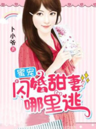 蜜宠：闪婚甜妻哪里逃/卜小爷-mob/epub/azw3/pdf电子书免费下载/书单推荐16km电子书