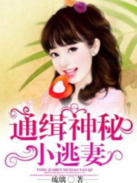 通缉神秘小逃妻/琉璃-mob/epub/azw3/pdf电子书免费下载/书单推荐16km电子书