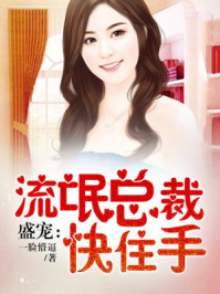 盛宠：流氓总裁快住手/一脸懵逼-mob/epub/azw3/pdf电子书免费下载/书单推荐16km电子书