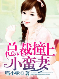 总裁撞上小蛮妻/喵小咪-mob/epub/azw3/pdf电子书免费下载/书单推荐16km电子书