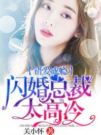 错爱成瘾,闪婚总裁太高冷/关小怀