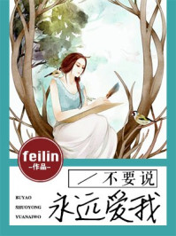 不要说永远爱我/feilin