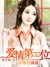 华丽的挑战:爱情第三位/君不知