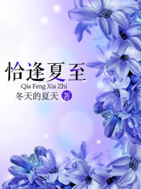 恰逢夏至/冬天的夏天