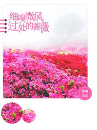 细嗅微风过处的蔷薇/钟璃