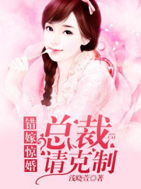 错嫁惊婚:总裁请克制/浅晓萱