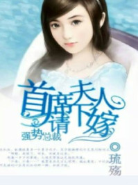 强势总裁,首席夫人请下嫁/琉殇