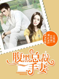 腹黑总裁二手妻/王真真