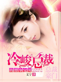 冷峻总裁的替身宝贝/文宁