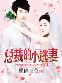 总裁的小逃妻/蝶碎玉莹